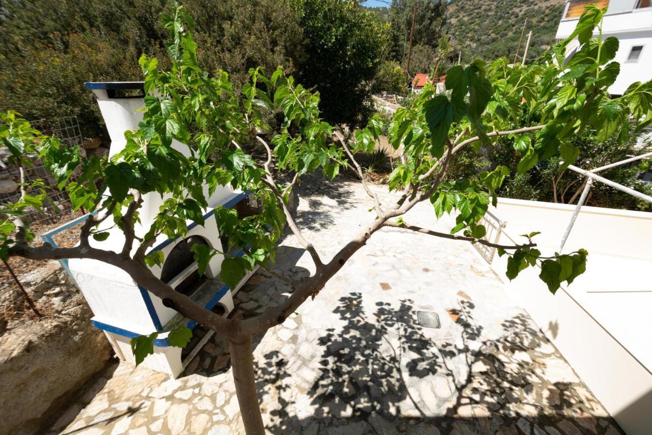 Theaktis Homes Kali Limenes Bagian luar foto